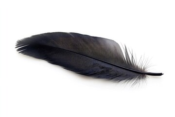 A single dark feather lying diagonally on a plain white surface casting a subtle shadow below it