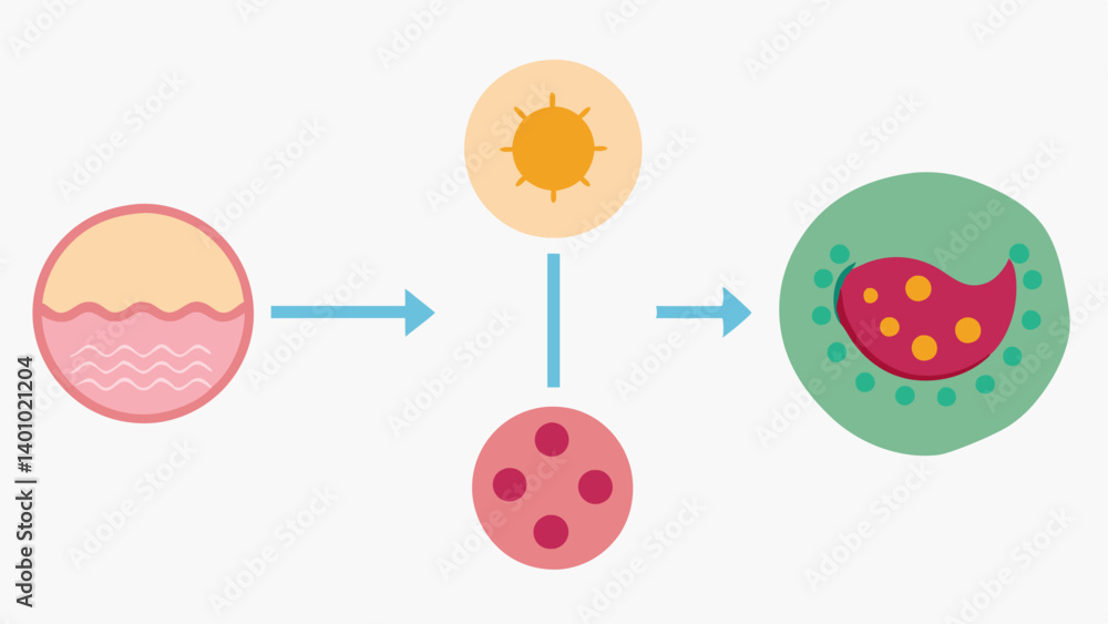 Poster mechanism of action a simple diagram showing how nanoparticles interact with skin cells with arrows 