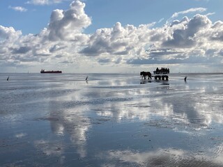 Silhouette Wattwagen vor der Insel Neuwerk in der Nordsee vor Cuxhaven bei Ebbe