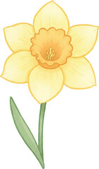 Kawaii Daffodil with Chubby Petals in Pastel Yellow Watercolor