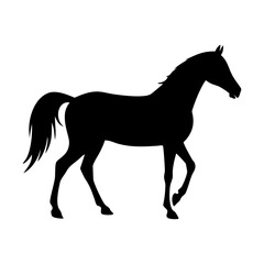 horse silhouette isolated on white