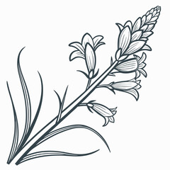 black and white flowers