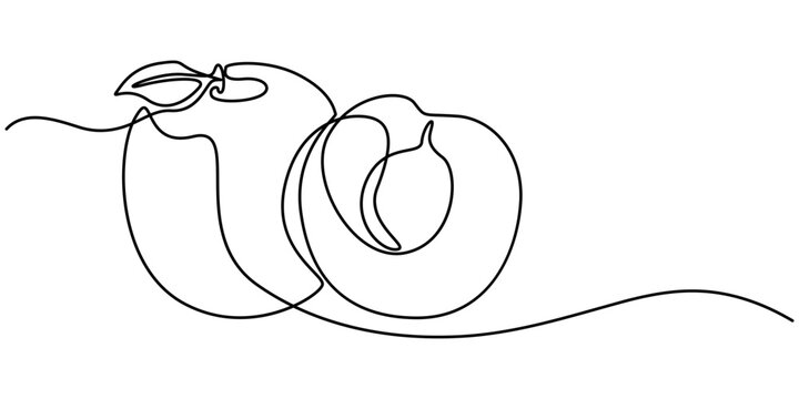 recommend clip art: Plum fruit in continuous line art drawing style. Minimalist black line sketch on white background. Vector illustration, Plum drawn in one continuous line. One line drawing, minimalism.