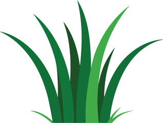 Simple grass illustration isolated on white background	