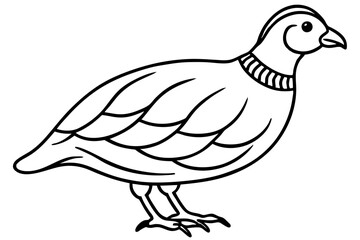 Quail Silhouette Line Art
