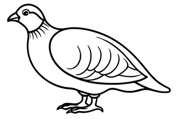 Quail Silhouette Line Art