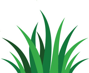 Simple grass illustration isolated on white background	