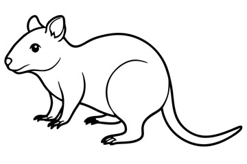 Quokka Minimal Line Drawing