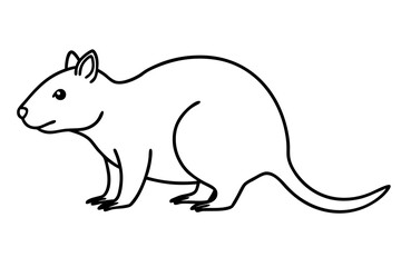 Quokka Minimal Line Drawing