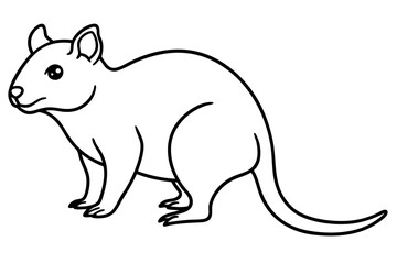 Quokka Minimal Line Drawing