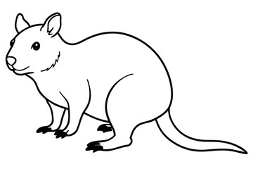 Quokka Minimal Line Drawing