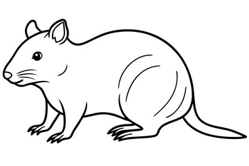 Quokka Minimal Line Drawing