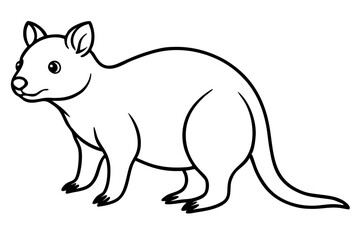Quokka Minimal Line Drawing