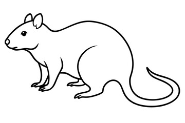 Quokka Minimal Line Drawing