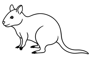 Quokka Minimal Line Drawing