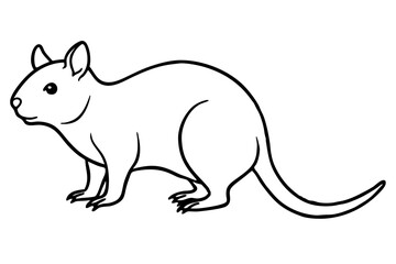 Quokka Minimal Line Drawing
