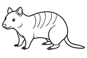 Quokka Minimal Line Drawing