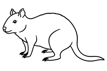 Quokka Minimal Line Drawing