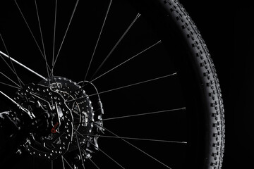 Detailed View of Bicycle Cassette, Spokes, and Tire