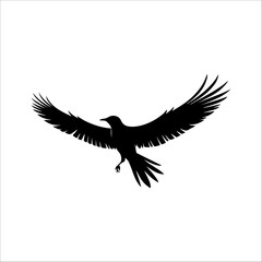 Fototapeta premium eagle vector illustration