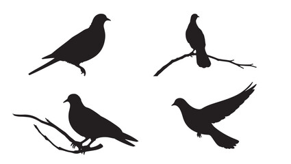 Obraz premium Dove silhouette vector art white background