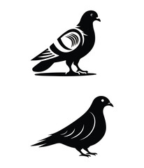Pigeon silhouette set illustration vector design. 