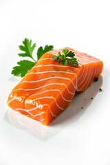 Silhouette of a salmon fillet on white background, appetizer, seafood