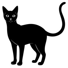 AI Generated Abyssinian Vector Silhouette Isolate White Background