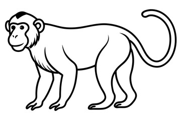 Stylized Proboscis Monkey Outline