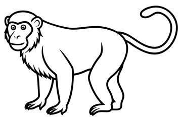 Stylized Proboscis Monkey Outline