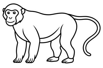 Stylized Proboscis Monkey Outline