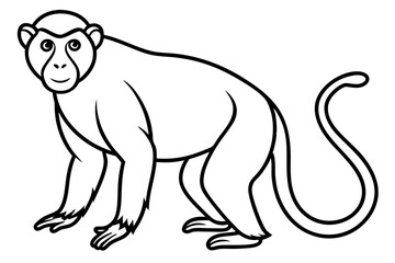 Stylized Proboscis Monkey Outline