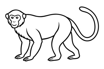 Stylized Proboscis Monkey Outline