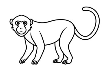 Stylized Proboscis Monkey Outline