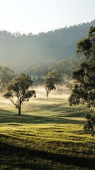 Misty Morning Landscape Featuring Trees on a Green Grassy Field