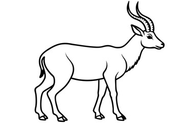 Wild Markhor Vector