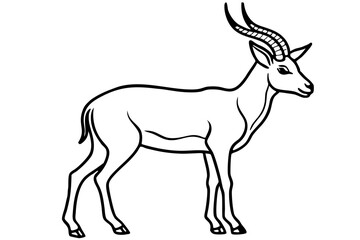 Wild Markhor Vector