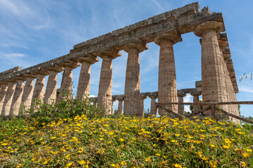 Fototapeta premium The First Temple of Hera, also known as Temple of Hera I and the Basilica, a Greek temple built in about 550BC in Paestum, Campania, Italy