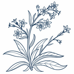 black and white flowers