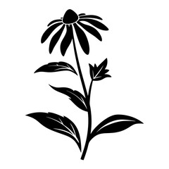 Black and white illustration of a single echinacea flower with leaves and stem