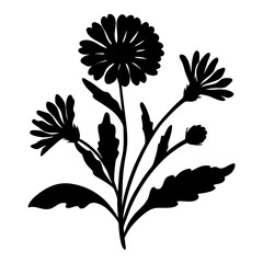 Silhouette of a Beautiful Bouquet of Calendula Flowers with Lush Green Leaves