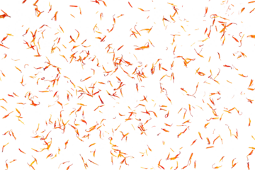 Safflower dry petals falling isolated on white, clipping path