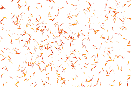 Safflower dry petals falling isolated on white, clipping path