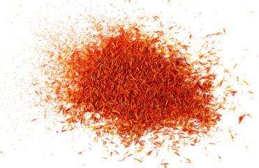 Safflower dry petals isolated on white, top view