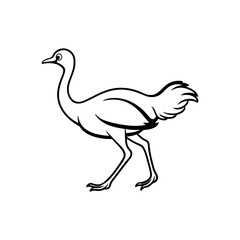 Ostrich running fast line art vector