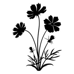 Black Silhouette of Cosmos Flowers Botanical Illustration Floral Design Element