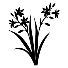 Elegant Black Silhouette of Blooming Flowers with Long Grass Blades