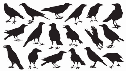 Caw silhouette vector set