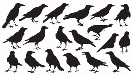 Caw silhouette vector set