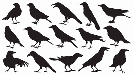 Caw silhouette vector set